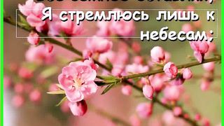 Свято чтимо это место Караоке