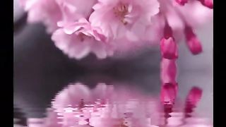 Take My Hand Jim Reeves Караоке