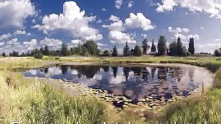 Take My Hand Presley Караоке