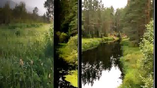 Take My Hand Presley Караоке