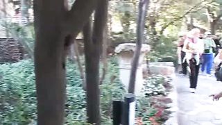 С Библией по Святой Земле 3