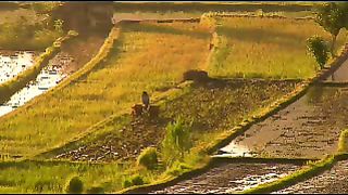 Огонь Божественной любви Видеоклипы