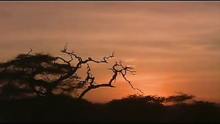 Відкрий серце Ісусу відеокліпи