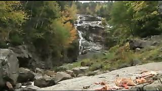 Голос любові - псалми