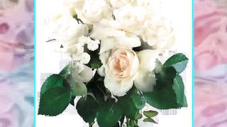 Сона Манукян - Он вернется