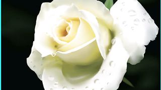 Сона Манукян - Он вернется