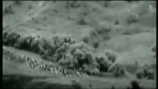 Протестанты - Мифы и истина