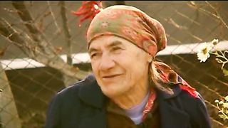 Телепрограмма Теорема - Ганна Ливинтир