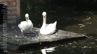 180° - Битва за мечту