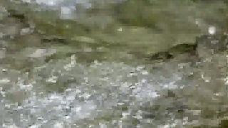 Молитесь же так