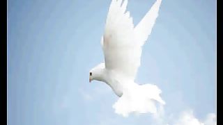 ячеслав Жеребилов - Свят Бог, святы небеса