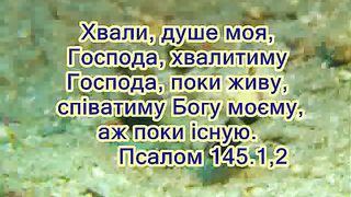 Дитяча Хвала Творцю