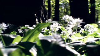 Очи открой нам караоке