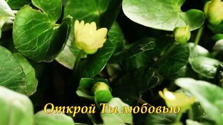 Очи открой нам караоке