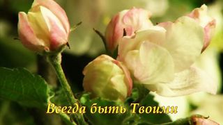 Очи открой нам караоке