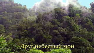 Смолкли звуки дня караоке