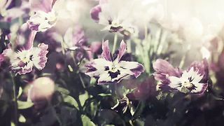 Никого не вини слайдшоу