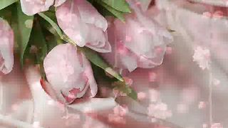 Никого не вини слайдшоу