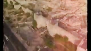 7 библейских пророчество о последнем времени