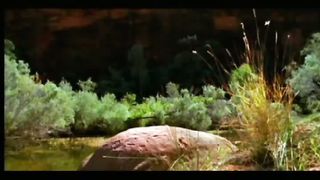 Дом мой небесный - муз. клипы