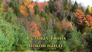 В исканье счастья караоке