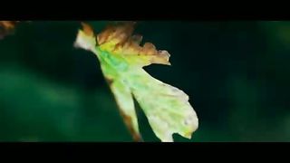 Виктория Березовская - Причитание