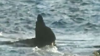 Концерт Виктор Шатецкий и Дарина Кочанжи