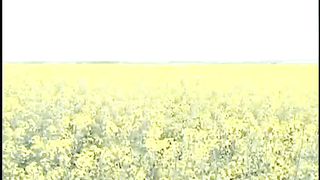 Ростислав Радчук - Я буду в вашем доме