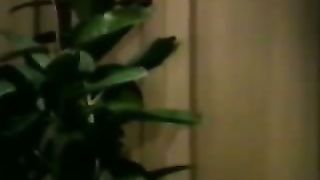 Катрин Кульман - Если бы вы только знали