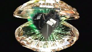 13. Узнай Божье время