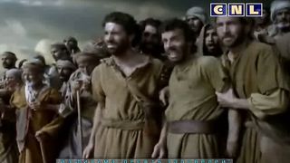 В фокусе - Пробуждение