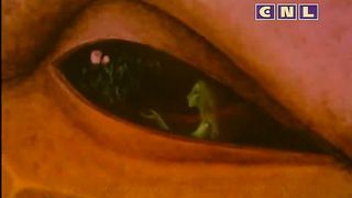 В фокусе - Прощение