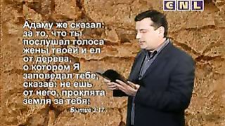 В фокусе - Страдания