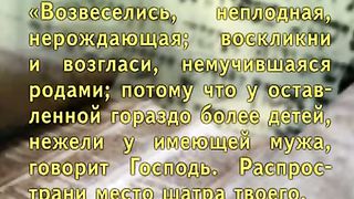 Александр Болотников - Тора 3 - Брачная вечеря