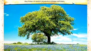 Евангелие от Марка