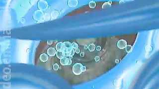 Живая Вода - Прощение