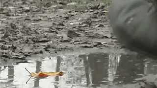 Блаженны чистые сердцем 4. Конец или начало