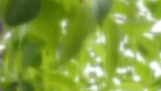 Блаженны чистые сердцем 5. Я хочу нарисовать счастье