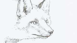 Блаженны чистые сердцем 9. Секрет Маленького Принца