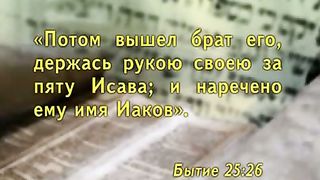 Александр Болотников - Тора 07 Выбор
