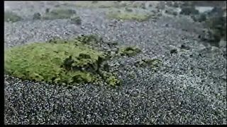 Чарівна Голубінь Небес (збірка пісень)