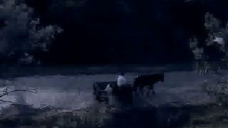 Возвращение (2010)