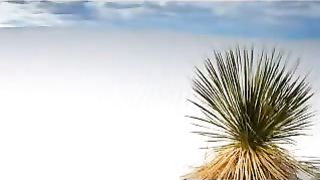 Денис Попурей - Да благословит