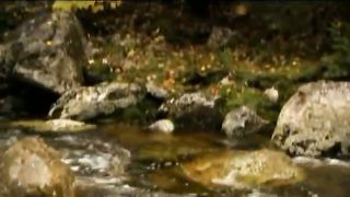 Анжелика Вишня - Жатва