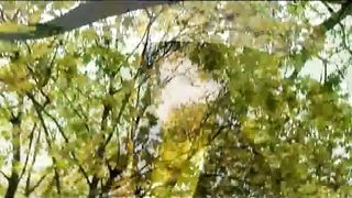 Анжелика Вишня - Жатва