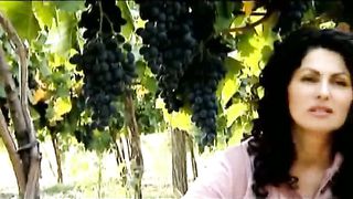 Анжелика Вишня - Жатва