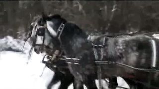 Анжелика Вишня - Новый год