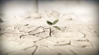 Анжелика Вишня - Росток