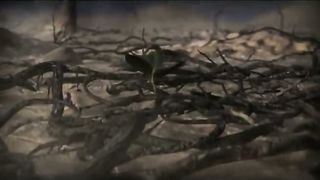 Анжелика Вишня - Росток