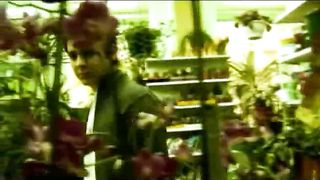 Анжелика Вишня - Баллада о любви